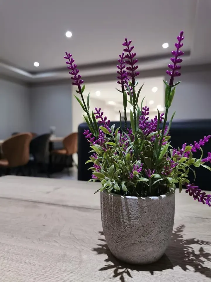 Royal Kebab - salle de restaurant (6)